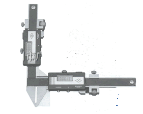 XΘ(bio)